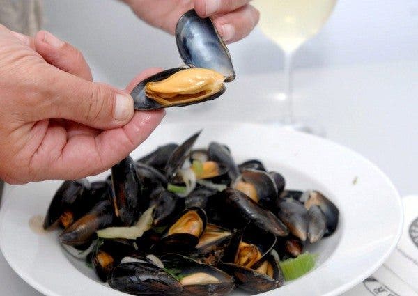 Mejillones, pez espada y pintarroja son las especies con más metales tóxicos