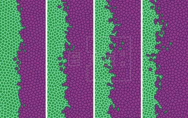 investigación cáncer metástasis