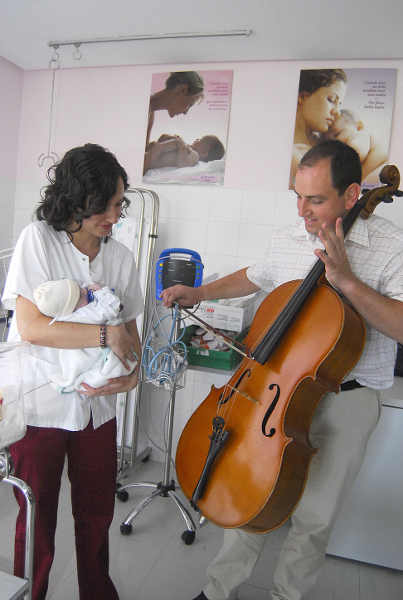musca cerebro terapia musicoterapia