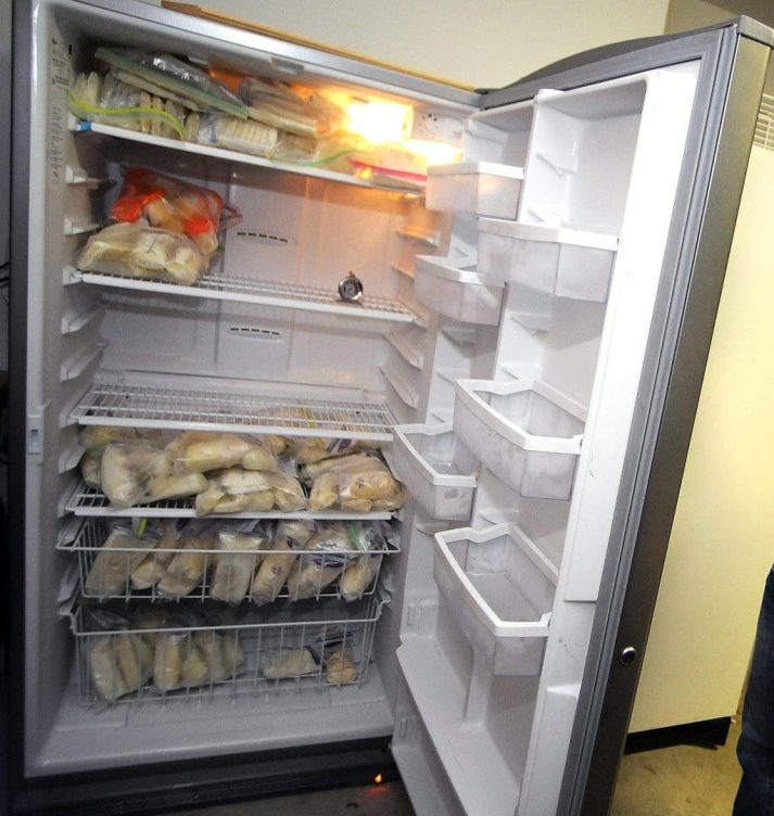 intoxicaciones alimentarias calor