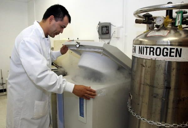 cóctel nitrógeno