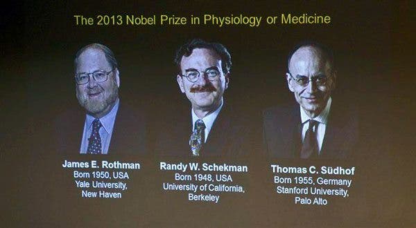 nobel medicina