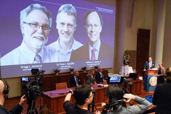 Nobel Medicina 2019