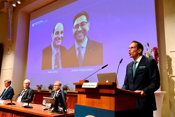 nobel medicina 2021