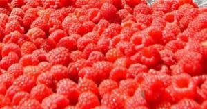 nutricion frambuesas