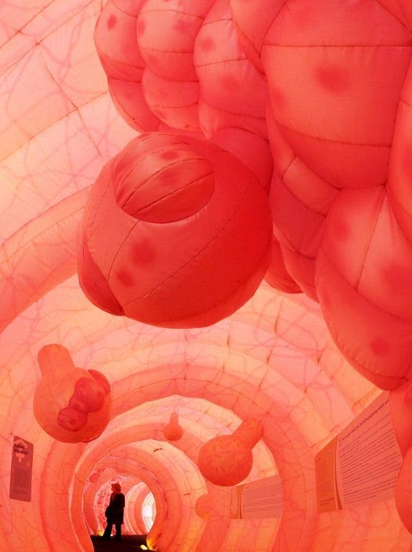 la digestion