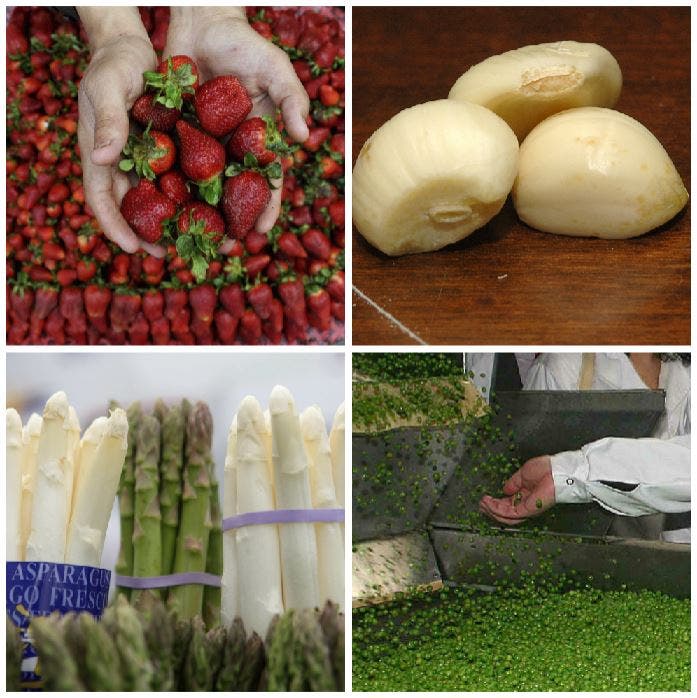 nutricion