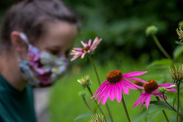 pérdida olfato covid