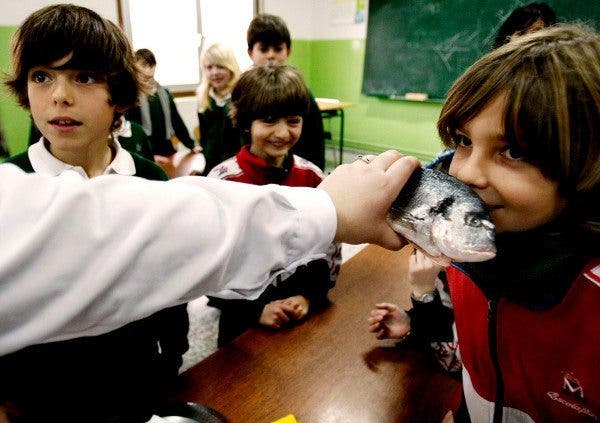Pescado niños