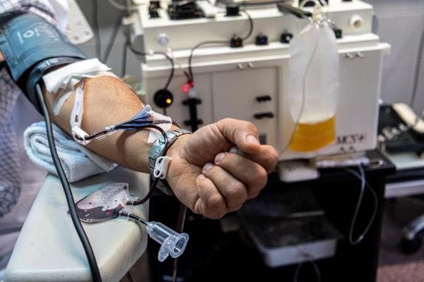 plasma convaleciente