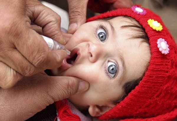 virus polio
