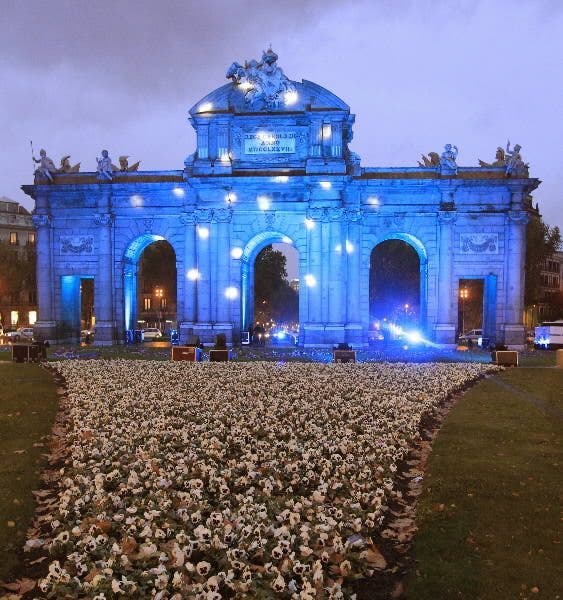Día Mundial Diabetes