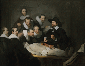 rembrandt medicina