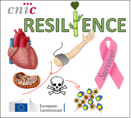 resilience