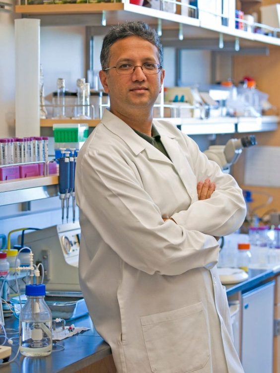 El doctor Shuvo Roy, bio-ingeniero y profesor de la Universidad de California, San Francisco, UCSF/Foto de la Universidad de California 