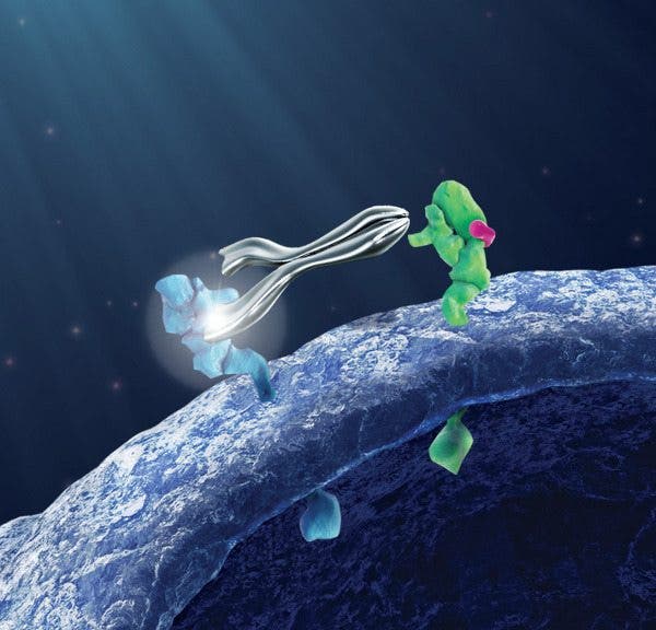 Imagen del tratamiento diana pertuzumab contra el cáncer de mama HER2.