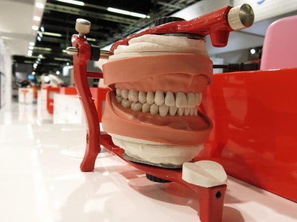Maqueta de una dentadura. Efesalud.com
