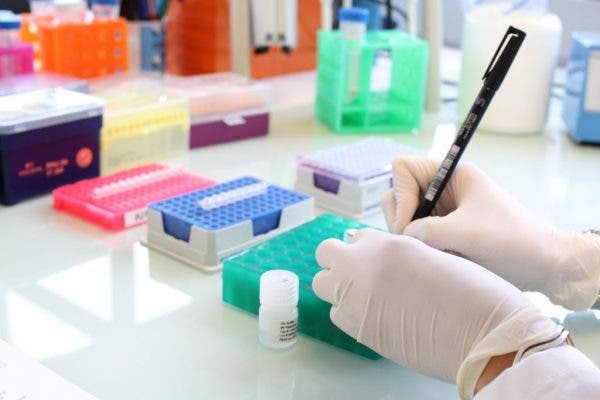 sarcoma, plan del cáncer