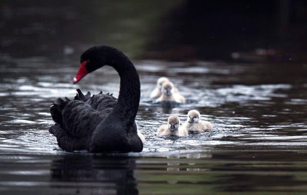 madre