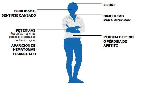 terapia