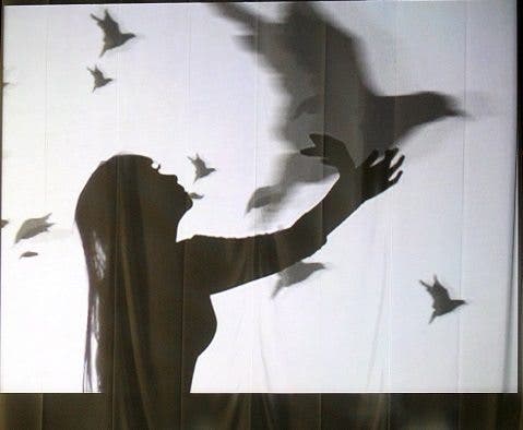 Imagen en un proyector en el que se ve la silueta de una mujer que hace sombras con las manos mientras se ven reflejadas palomas volando en el fondo de la imagen