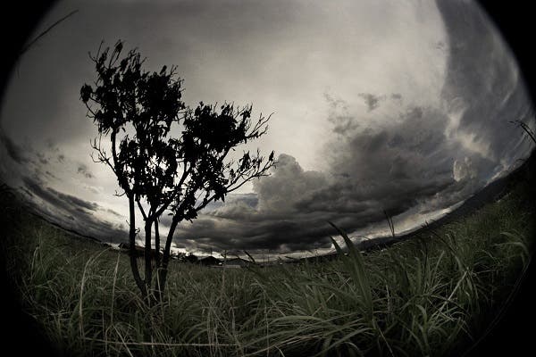 salud y medioambiente
