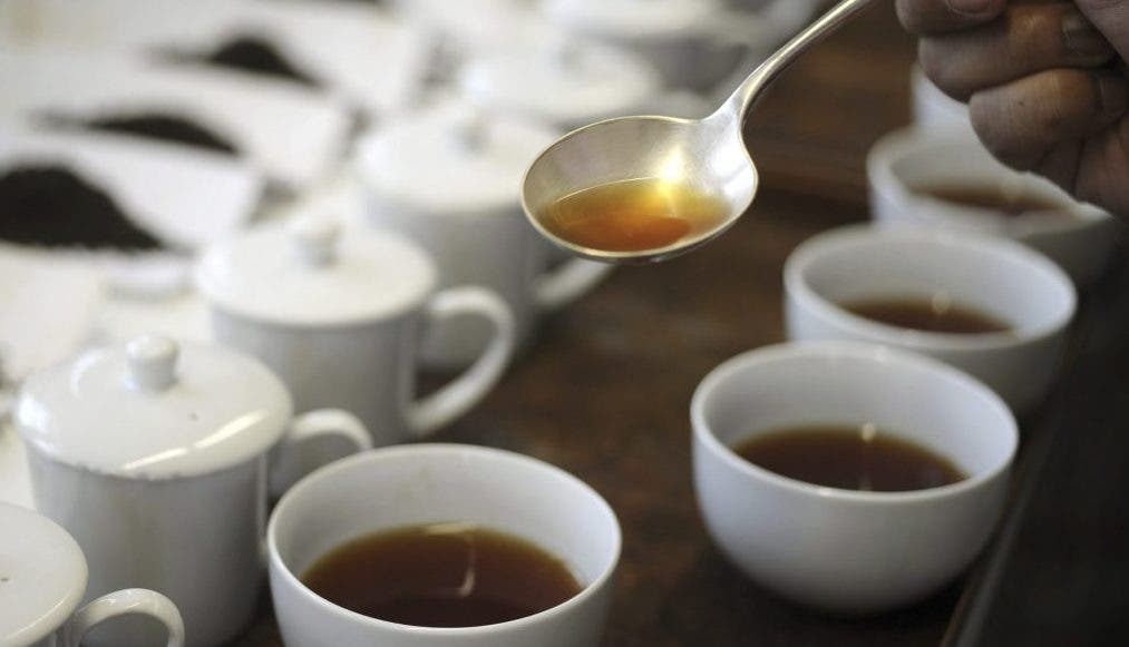 té matcha