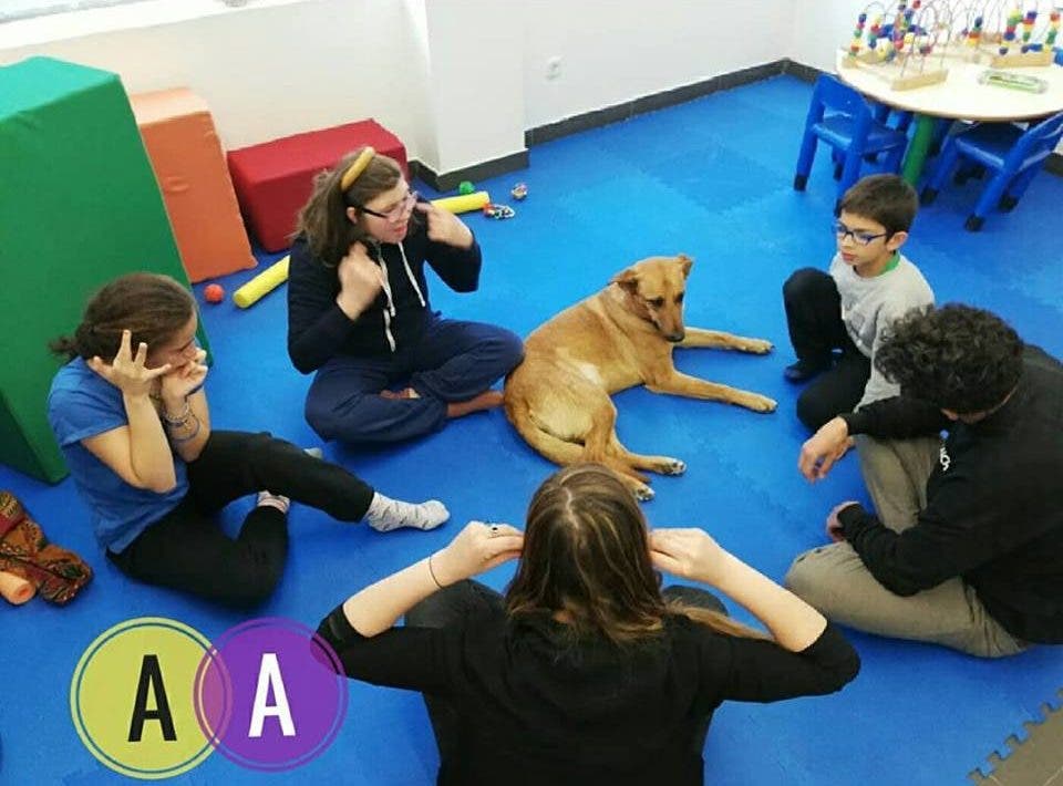 discapacidad intelctual