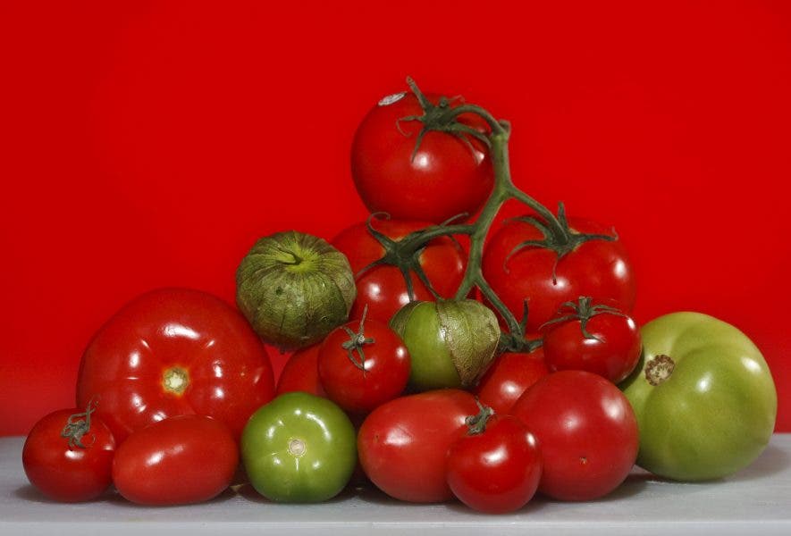 tomates