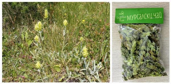 Libido femenina, ausencia