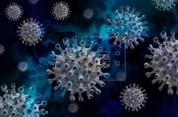 salto virus hombre