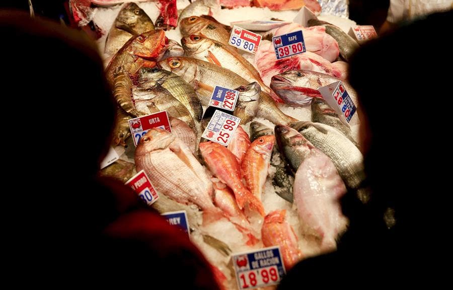 pescado-marisco-sostenible