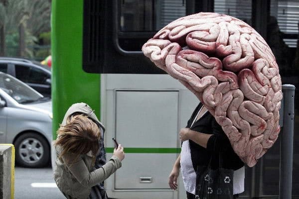 Epilepsia: desconexión transitoria