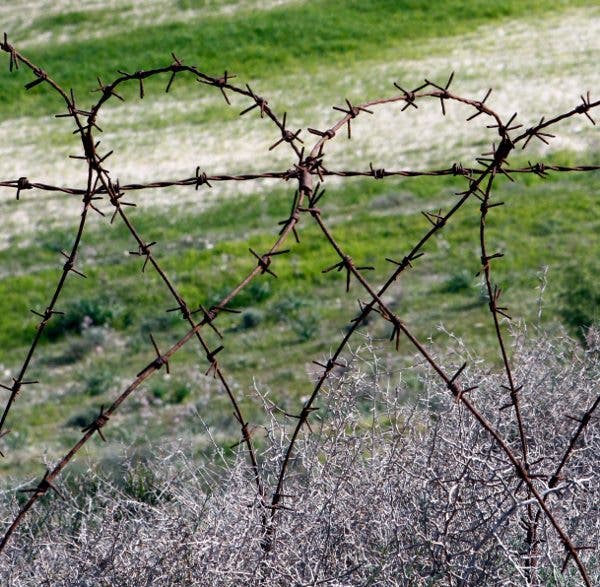 Una valla oxidada hecha con alambre de pinchos con forma de corazones. En el fondo un campo verde