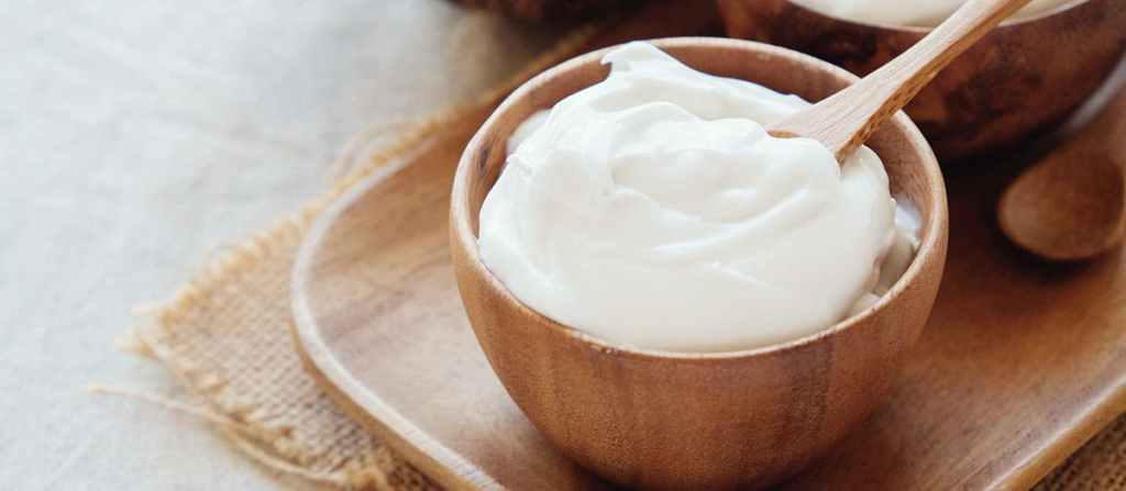lácteos yogur