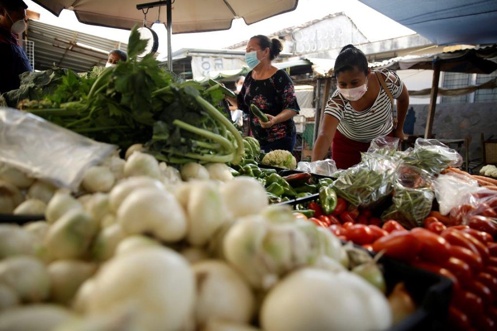 alimentación veggie