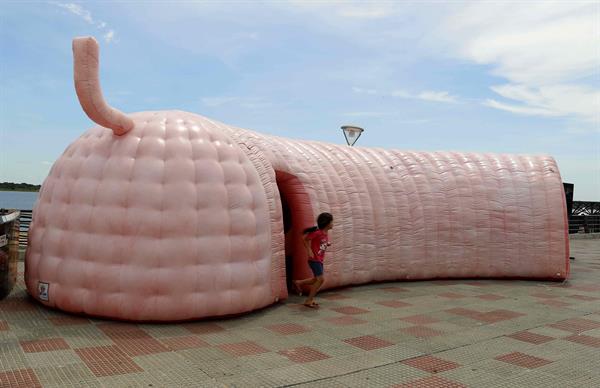 supervivencia cáncer de colon