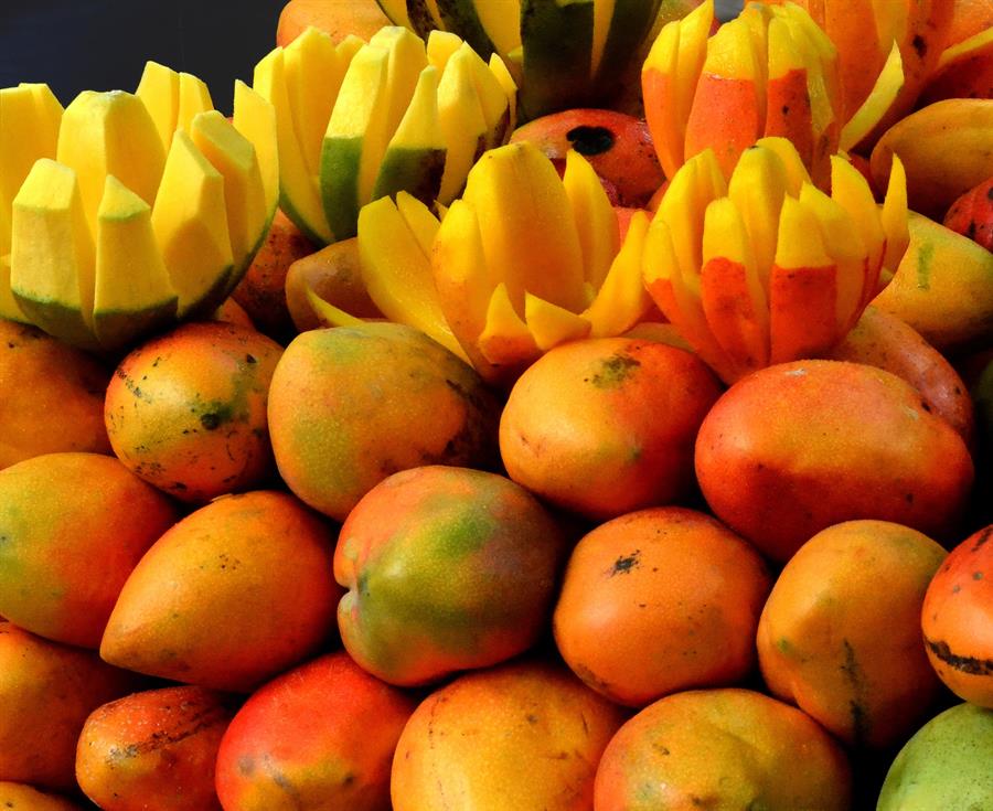 coaching nutricional