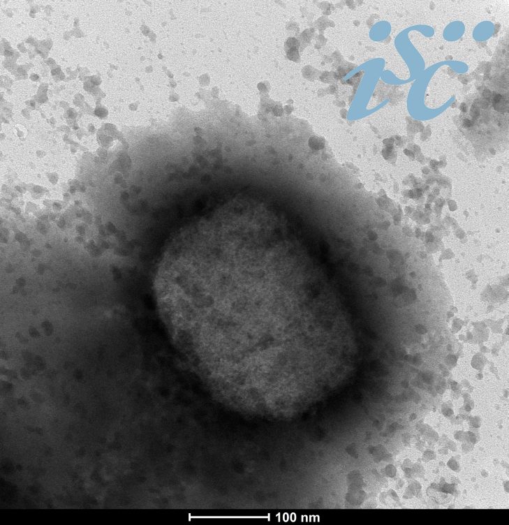 viruela mono mpox
