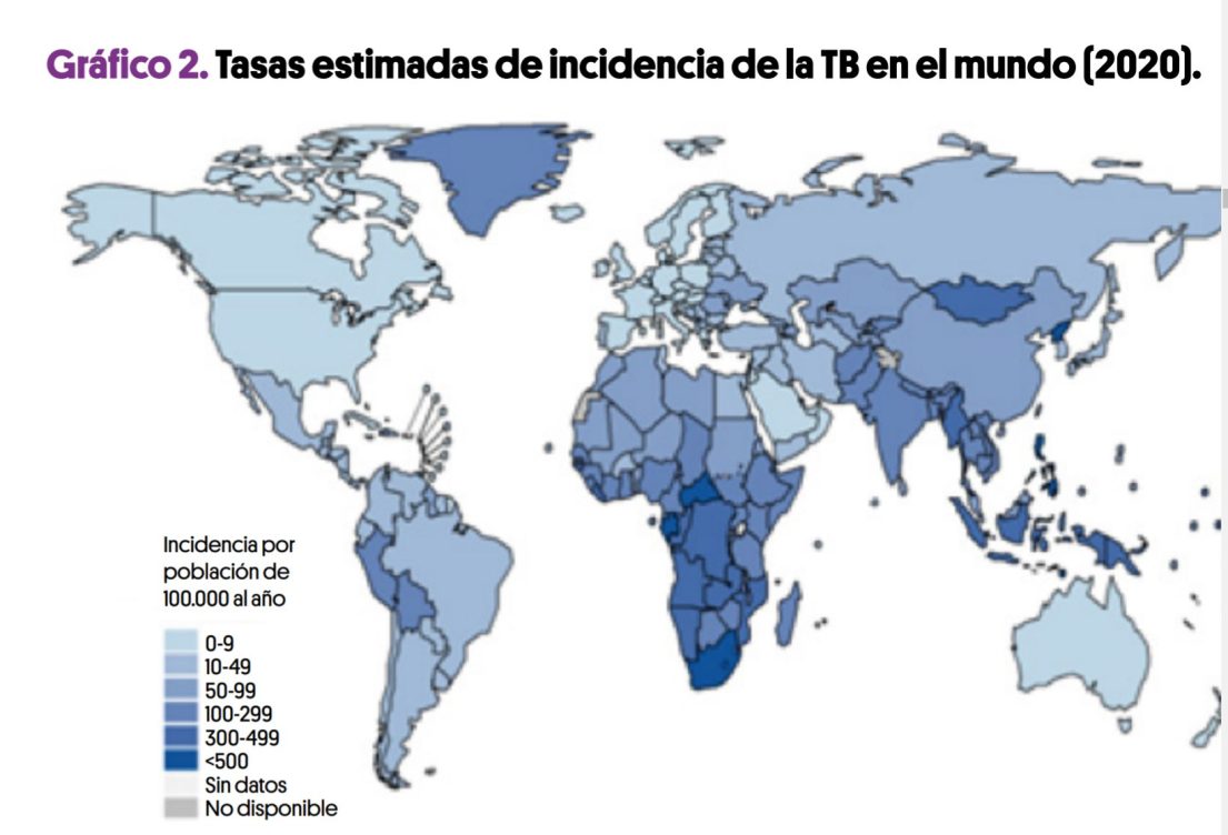 tuberculosis y covid