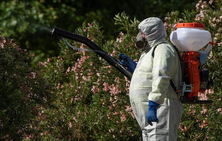 enfermedades infecciosas artrópodos