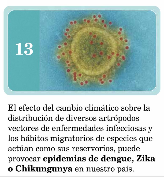 enfermedades infecciosas artrópodos