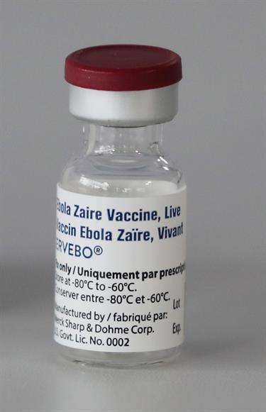 virus ébola 