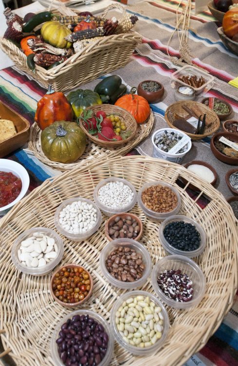 productos otoño