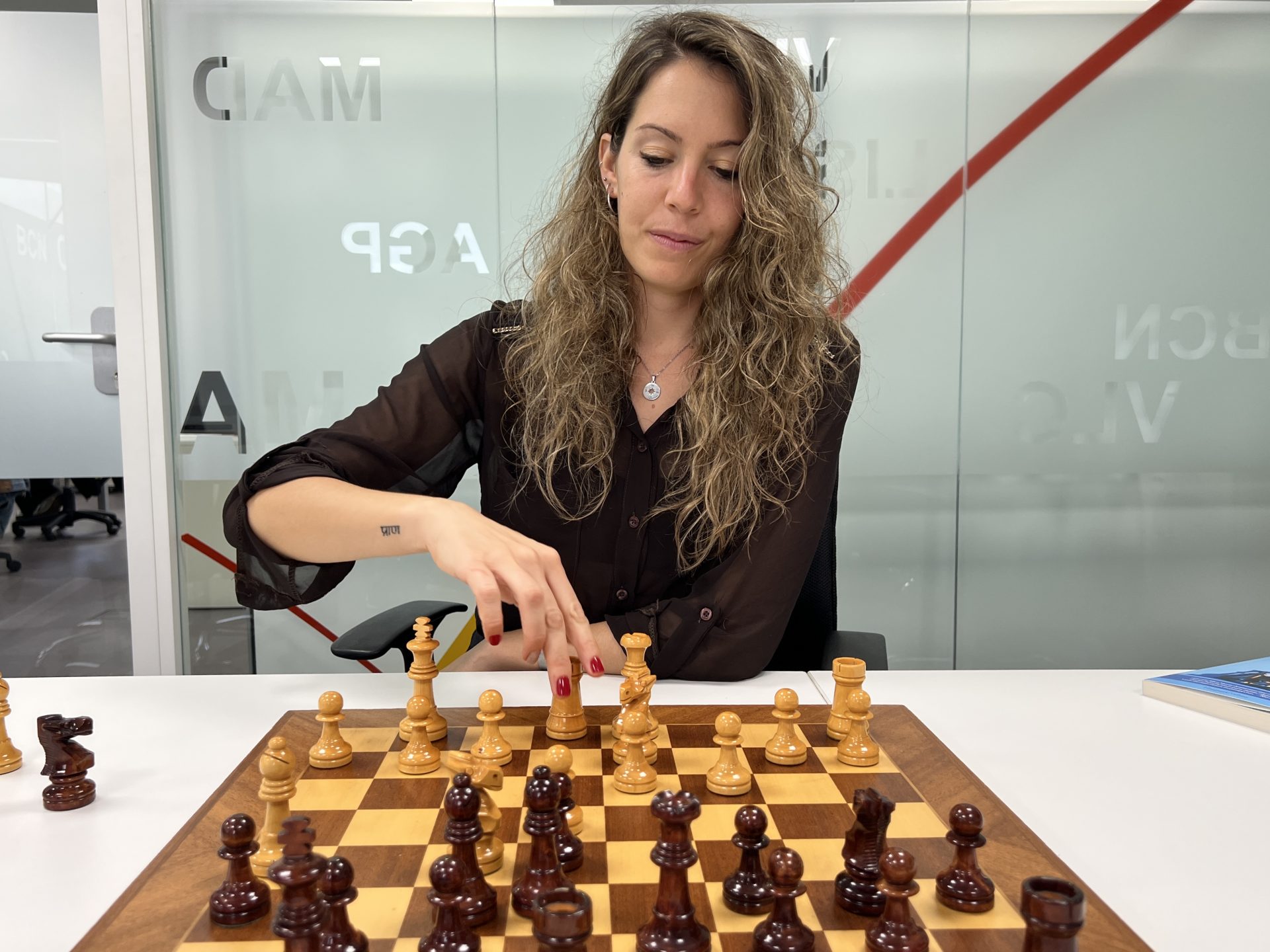 Ajedrez técnicas libro