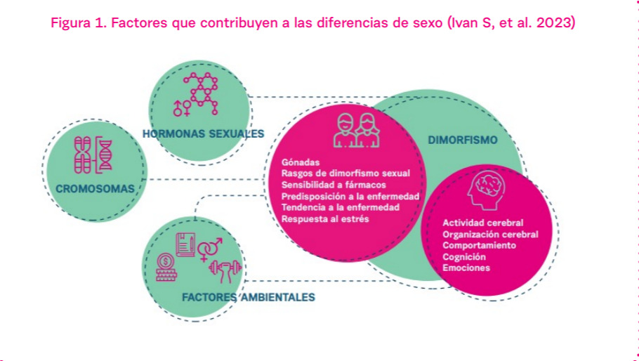 mujer salud gráfico 1