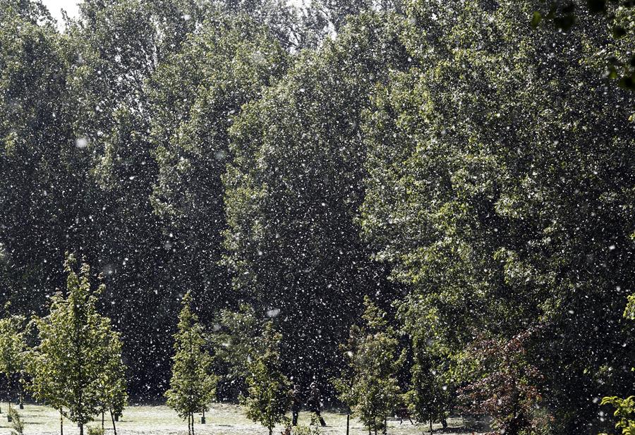 Rinitis alérgica primavera