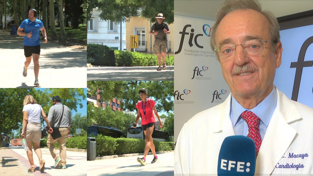 Ejercicio físico y sistema cardiovascular