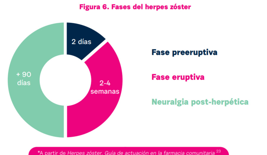 herpes zóster antivirales fases