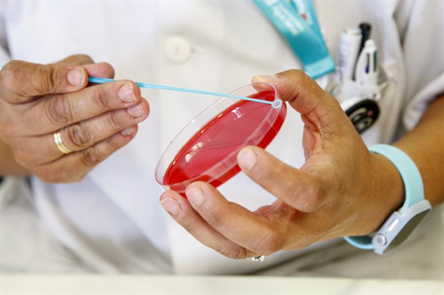 Hepatitis virales